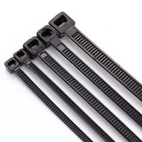 Evo Labs 2.5X200MM BLACK cable tie Nylon 100 pc(s)