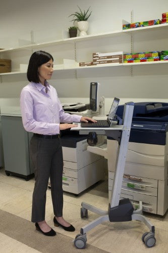 Ergotron Neo-Flex Laptop Cart Grey Multimedia cart/trolley