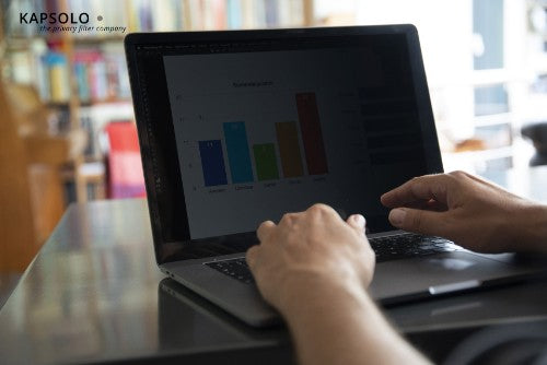 KAPSOLO 2-Way Plug In Privacy 29,5cm (11,6") Wide 16:9