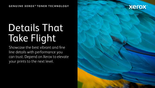 Xerox 006R04393 Toner cartridge magenta high-capacity, 2.5K pages ISO/IEC 19752 for Xerox C 230