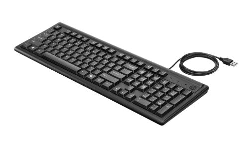 HP Keyboard 100