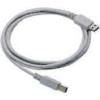 Datalogic Straight Cable - Type A USB USB cable