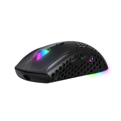 VIDA PRECISION GAMING USB RGB mouse Ambidextrous USB Type-A Optical 12400 DPI